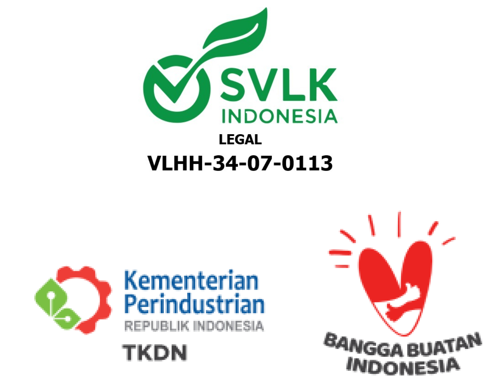 image-logo-svlk